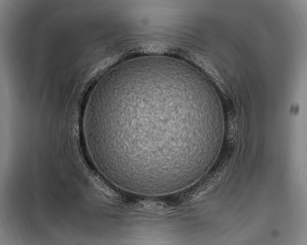 X0000100340681200806121151