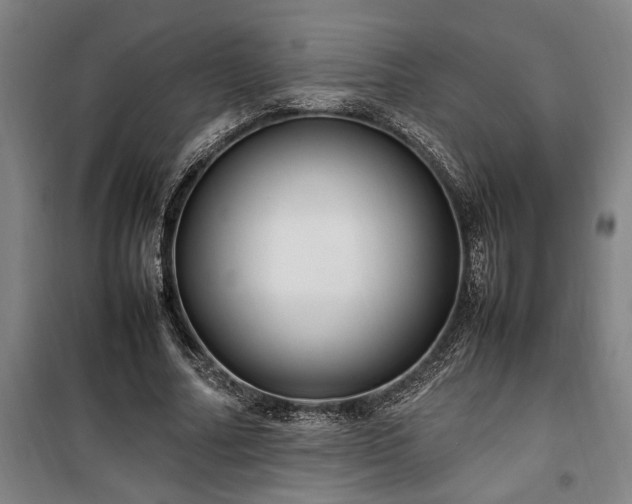 X0000100340682200806121151