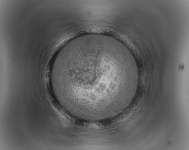 X0000100340683200806121151