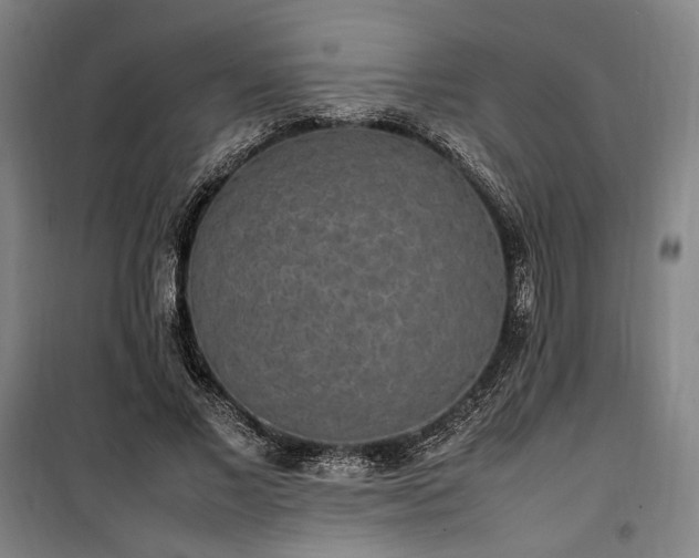 X0000100340685200806121151