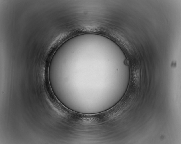 X0000100340686200806121151