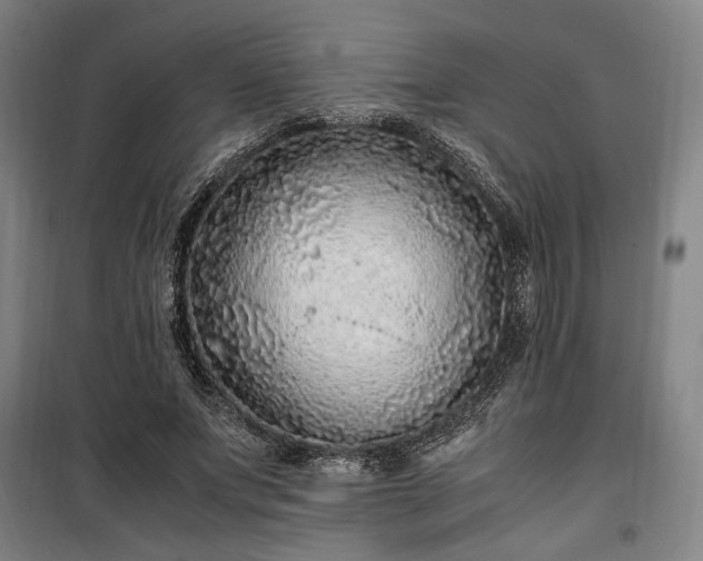 X0000100340687200806121151