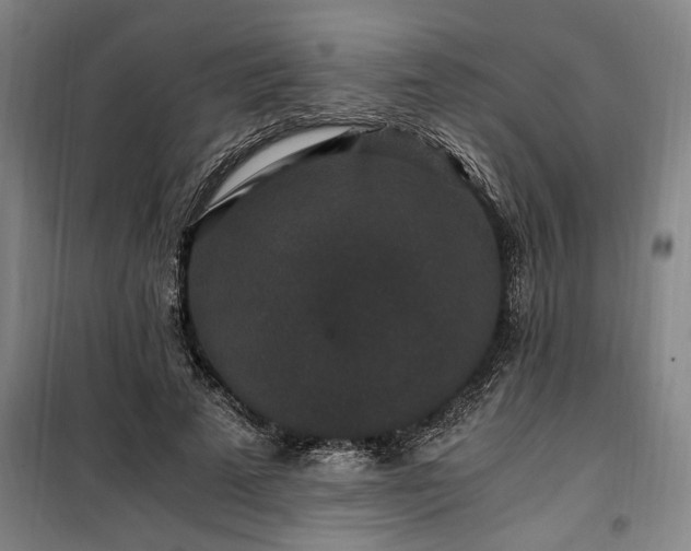 X0000100340689200806121151