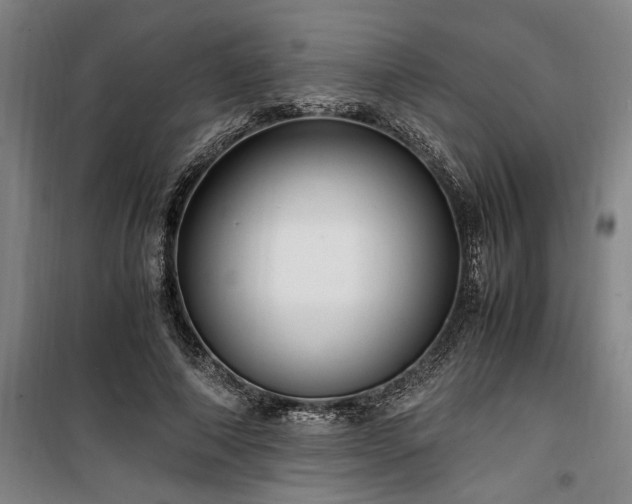 X0000100340690200806121151