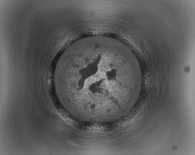 X0000100340691200806121151