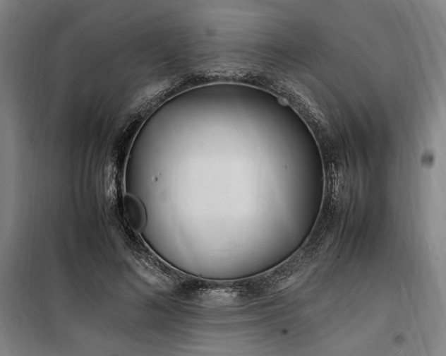 X0000100340692200806121151