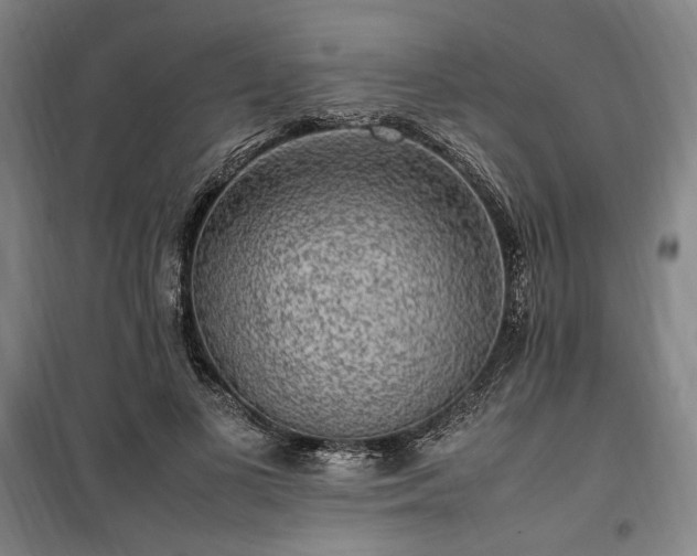 X0000100340693200806121151