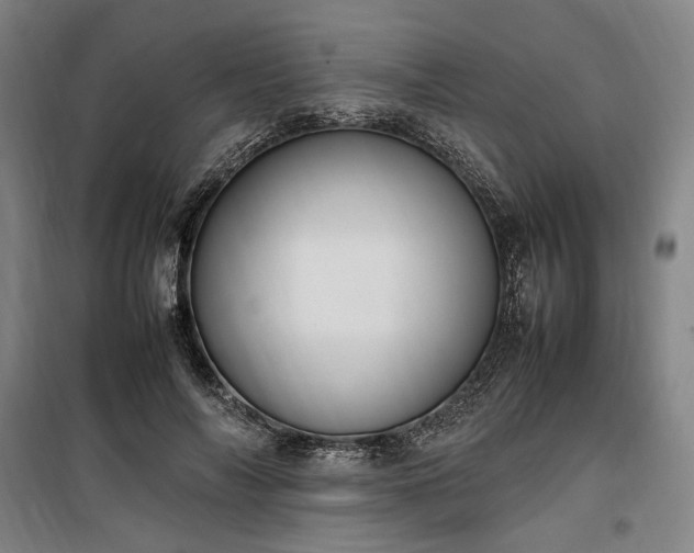 X0000100340694200806121151