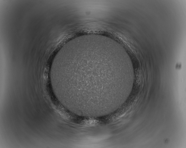 X0000100340695200806121151