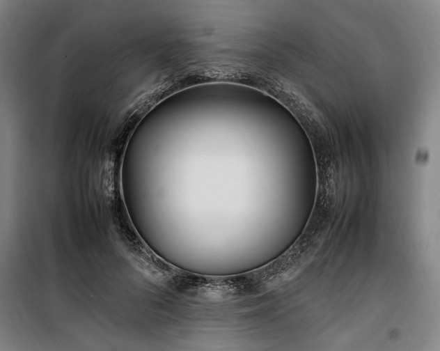 X0000100340696200806121151