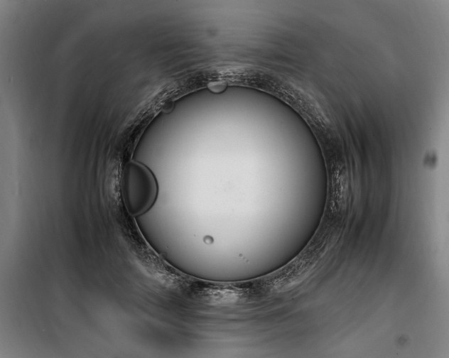 X0000100340698200806121151