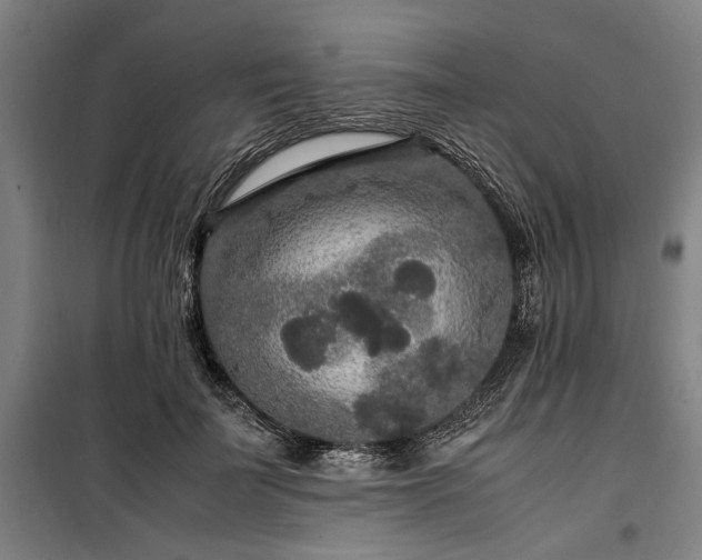 X0000100340699200806121151