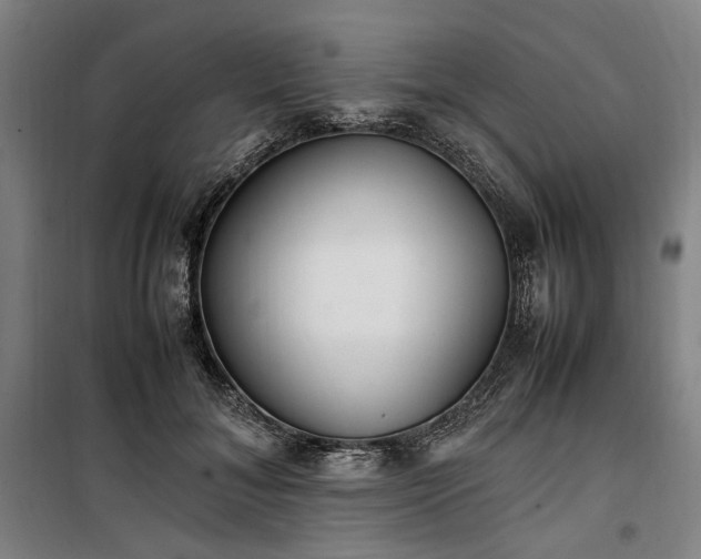 X0000100340700200806121151