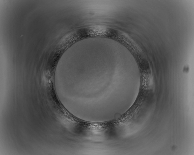 X0000100340701200806121151