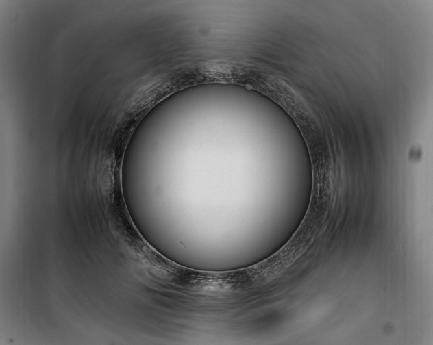 X0000100340702200806121151