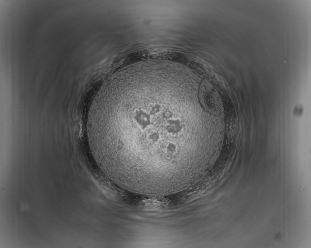 X0000100340703200806121151