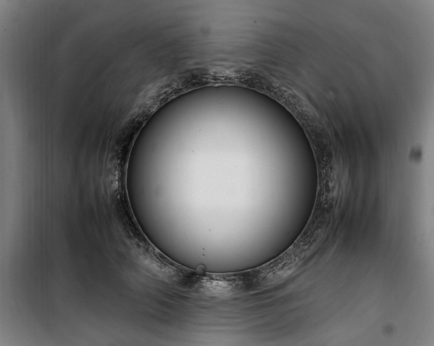 X0000100340706200806121151