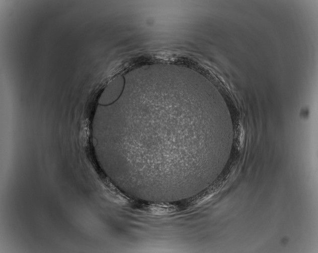 X0000100340707200806121151