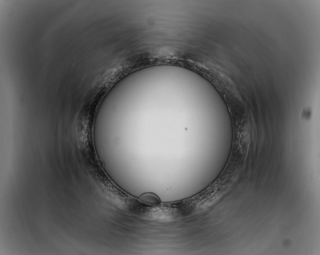 X0000100340708200806121151