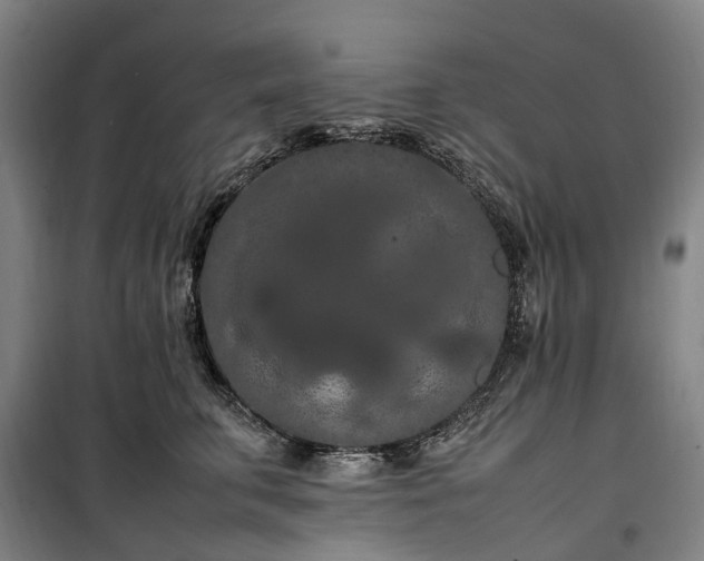 X0000100340711200806121150