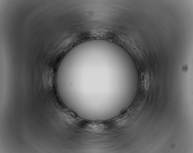 X0000100340712200806121150