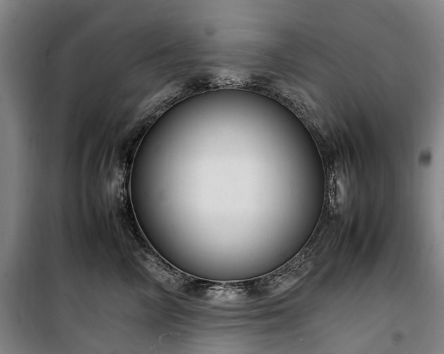 X0000100340714200806121150