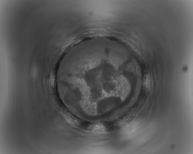 X0000100340715200806121150