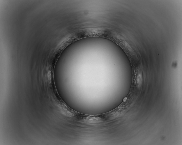 X0000100340716200806121150