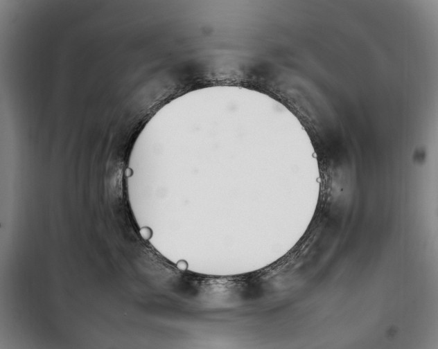 X0000100340717200806121150