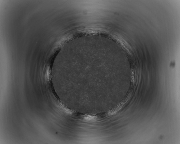 X0000100340718200806121150