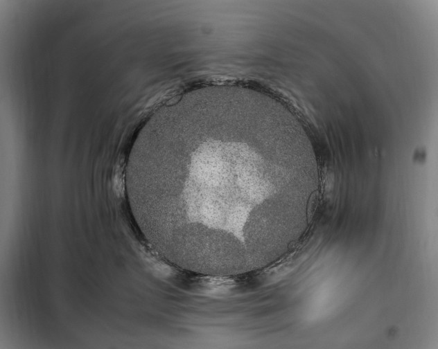 X0000100340719200806121150