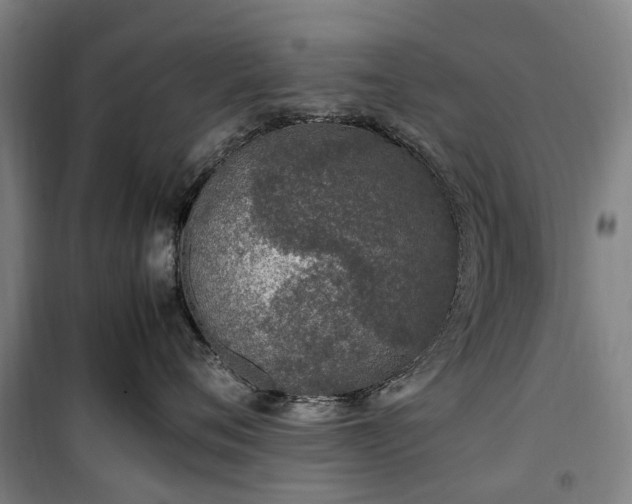 X0000100340720200806121150