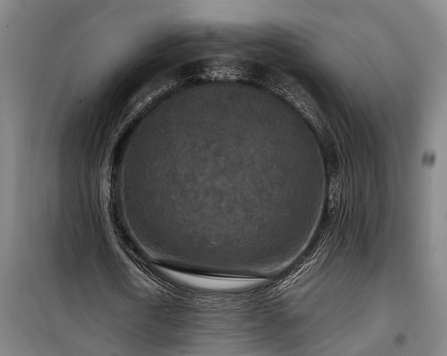 X0000100340722200806121150