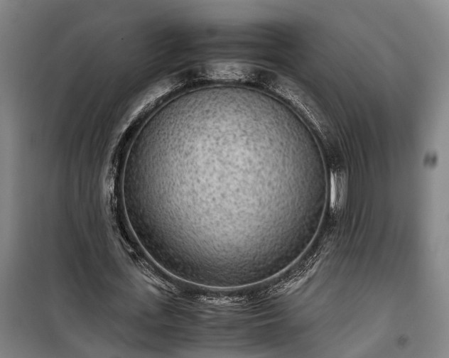 X0000100340723200806121150