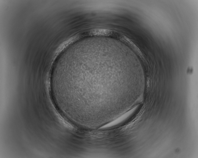 X0000100340725200806121150