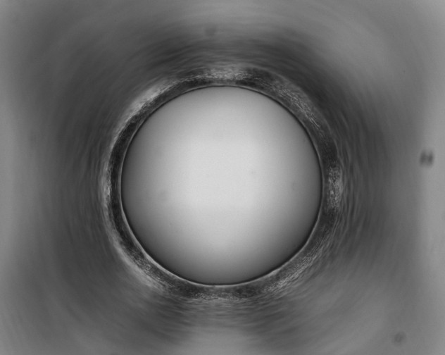 X0000100340726200806121150