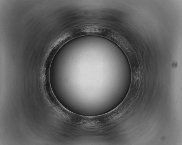 X0000100340727200806121150