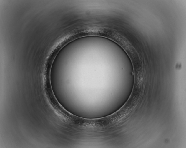 X0000100340728200806121150