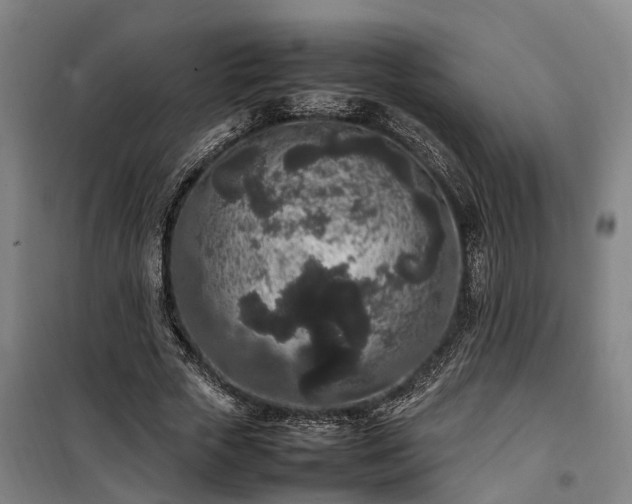 X0000100340729200806121150