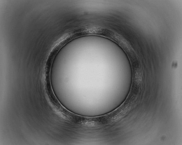 X0000100340730200806121150