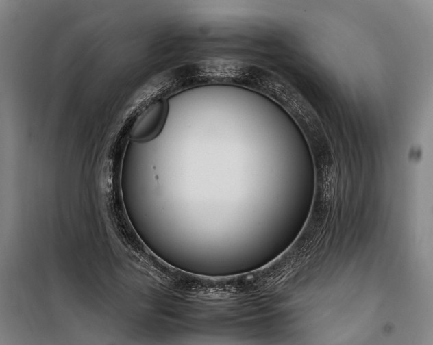 X0000100340731200806121150