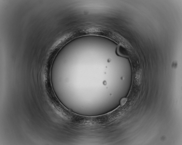 X0000100340732200806121150