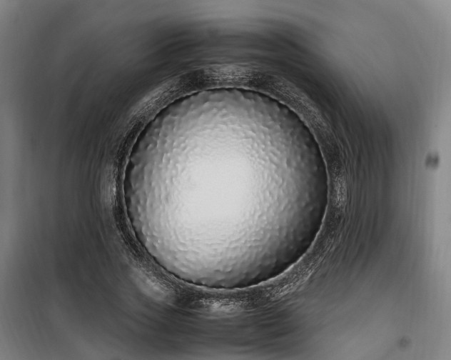 X0000100340733200806121150