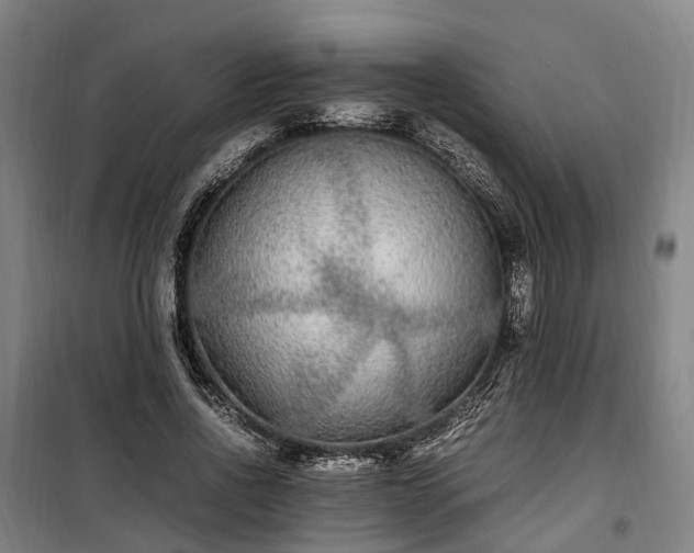 X0000100340734200806121150