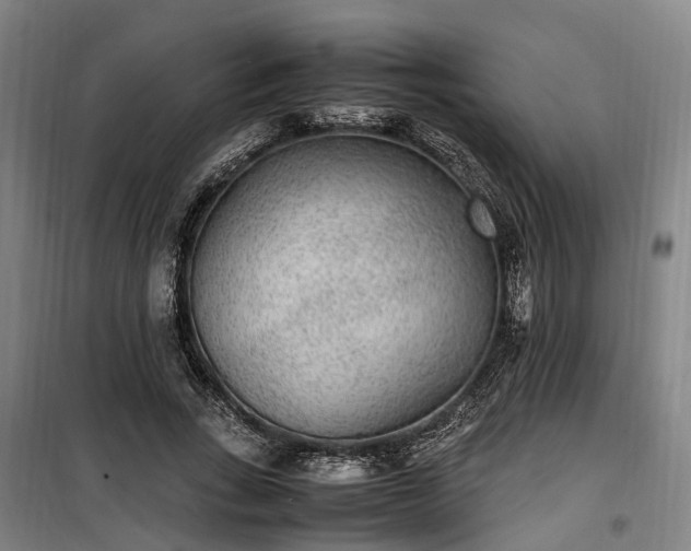 X0000100340735200806121150