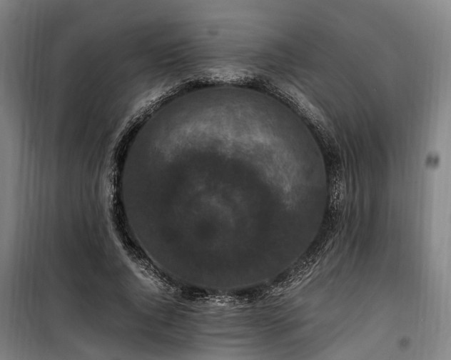 X0000100340736200806121150