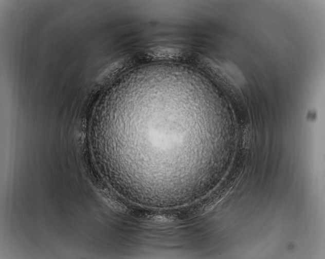 X0000100340737200806121150