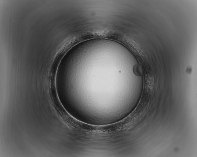 X0000100340738200806121150