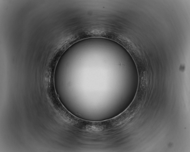 X0000100340739200806121150