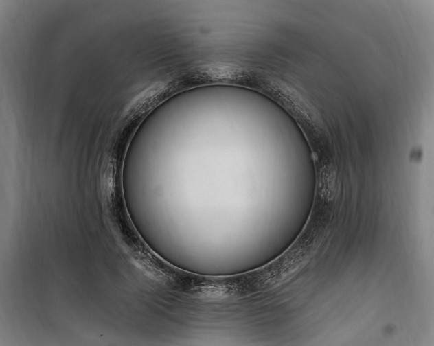 X0000100340740200806121150